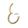 14Kt Yellow Gold Eternity Front Facing Hinged Segment Clicker with Prong Set 1mm Round Lab-Grown Diamonds