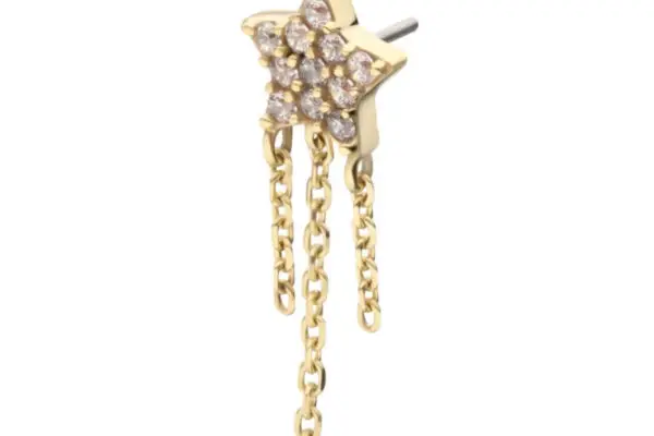 The 14K Gem Star - Dangle earring features a gold star design with small diamonds and two elegant gold chains hanging from the bottom.