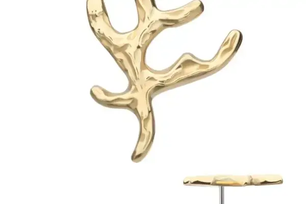 The 14K Coral Branch earring features a textured, organic design inspired by coral branches, with a side view highlighting its thickness and backing post.