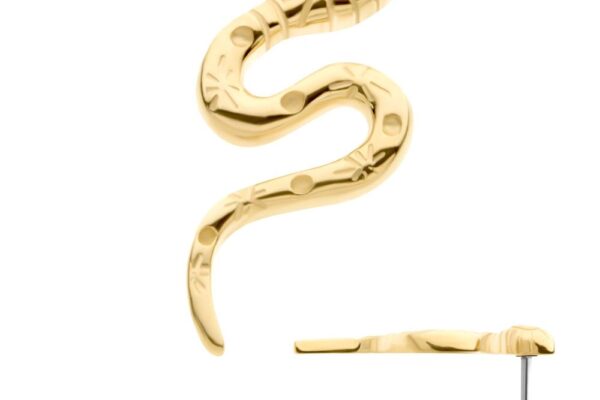 The 14K Slithery Snake is a gold earring in a coiled snake shape with engraved details and a stud backing, shown against a white background.