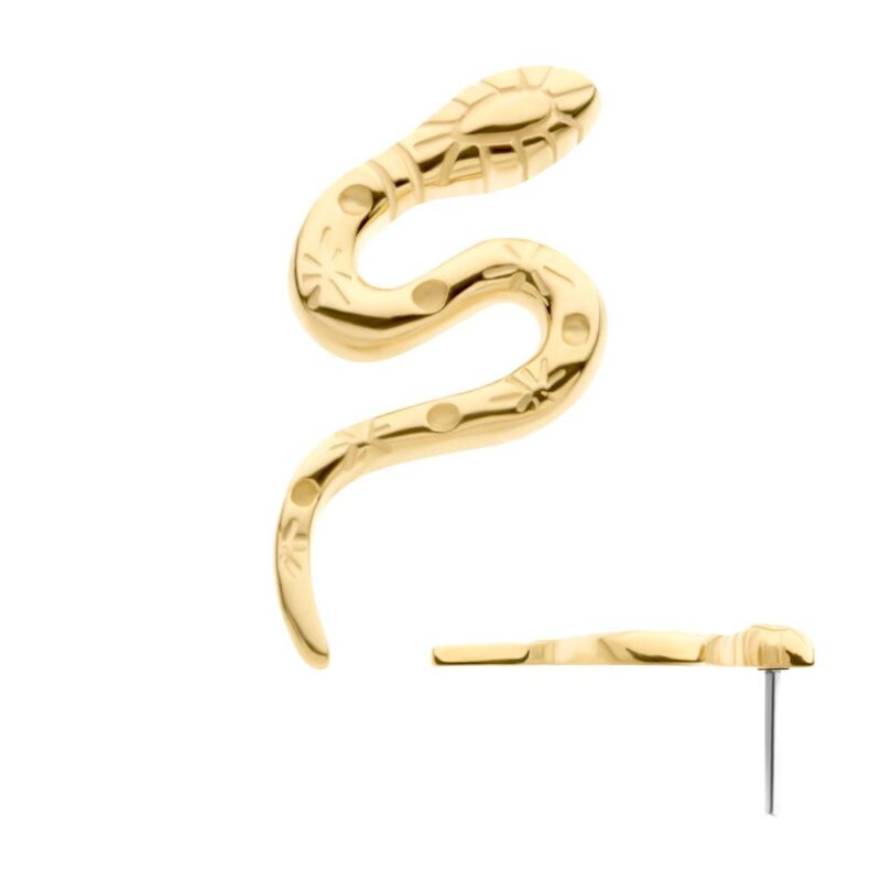 The 14K Slithery Snake is a gold earring in a coiled snake shape with engraved details and a stud backing, shown against a white background.
