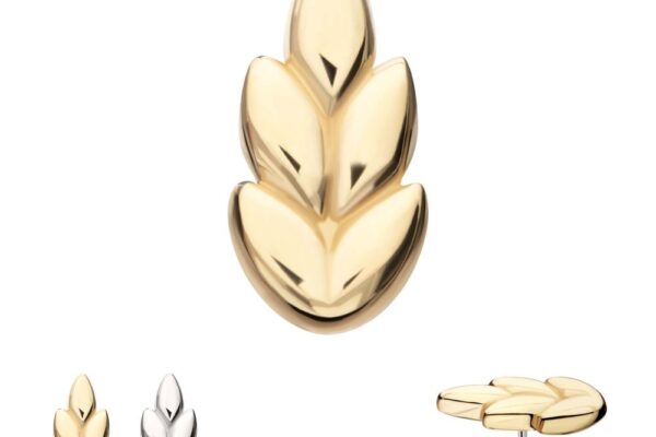The 14K Ash Leaf earrings feature a simple, stylized leaf motif in gold and silver. The main photo shows the gold version, while additional images display the silver option and a side view of the gold earring.