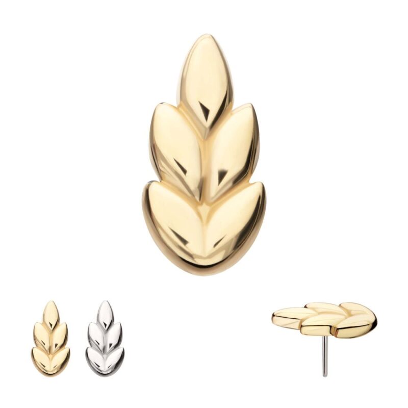 The 14K Ash Leaf earrings feature a simple, stylized leaf motif in gold and silver. The main photo shows the gold version, while additional images display the silver option and a side view of the gold earring.