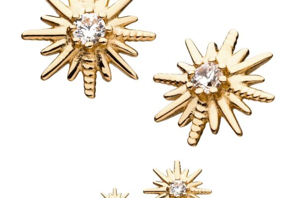 The 14K Shining Star Gem stud earrings feature a gold starburst design with a clear gemstone center, offered in two sizes and shown on a white background.