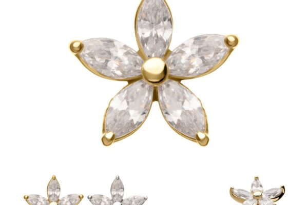 The 14K 5 Petal Marquise Flower stud earring features five marquise-cut clear stones set in gold. Three extra views show the earring in gold and silver settings from multiple angles.