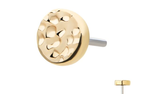 The 14K Hammered Disk is a small stud earring with a round 14K gold hammered disk face and a silver post, displayed from front and side views on a plain white background.