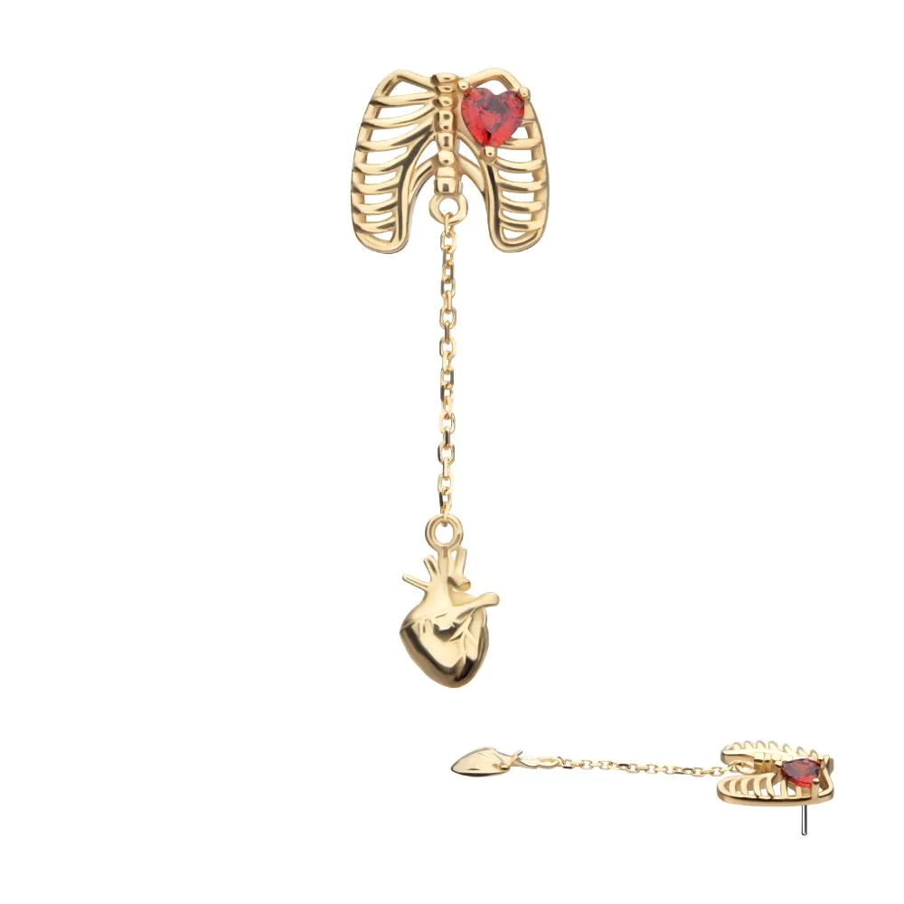 The 14K Heart Rib Cage-Dangle Heart earring features a ribcage design with a red gemstone heart, linked by a chain to an anatomical heart charm. Displayed from front and side views on a white background.