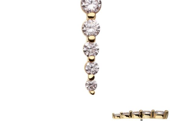 The 14K Drop Cluster - 5 Gem stud earring features a vertical row of five round white gems in decreasing sizes, displayed in front and side views on a white background.