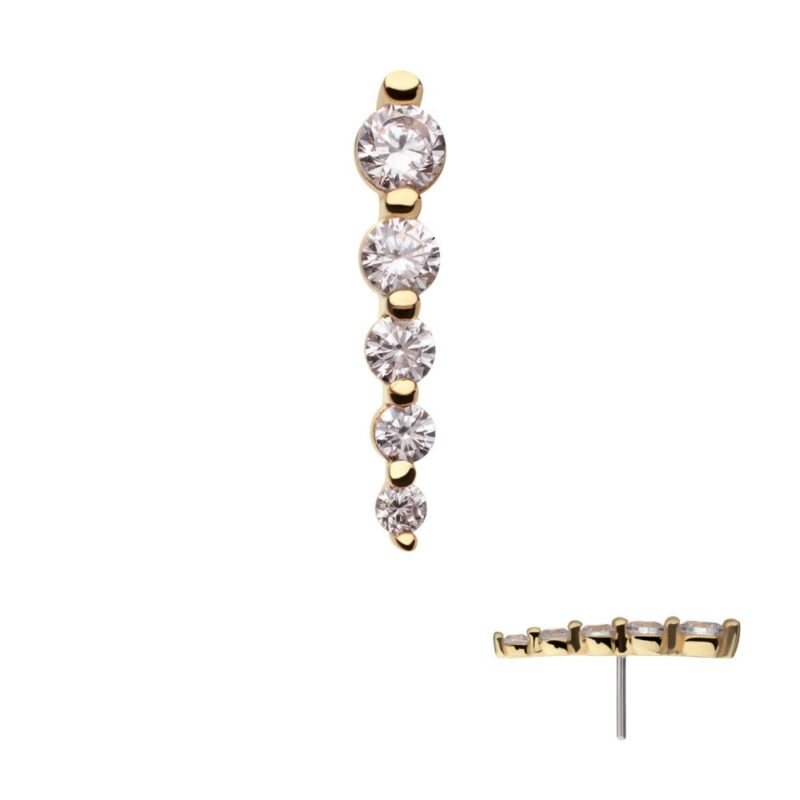 The 14K Drop Cluster - 5 Gem stud earring features a vertical row of five round white gems in decreasing sizes, displayed in front and side views on a white background.