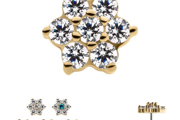 Four views of the 14K Six Petal Flower earring: close-up with seven clear stones, three alternate designs featuring colored gems, and a side view displaying the post and backing.