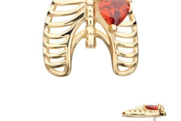 The 14K Heart Rib Cage gold earring is shaped like a ribcage with a red heart gem at its center and a visible post shown in the side view.