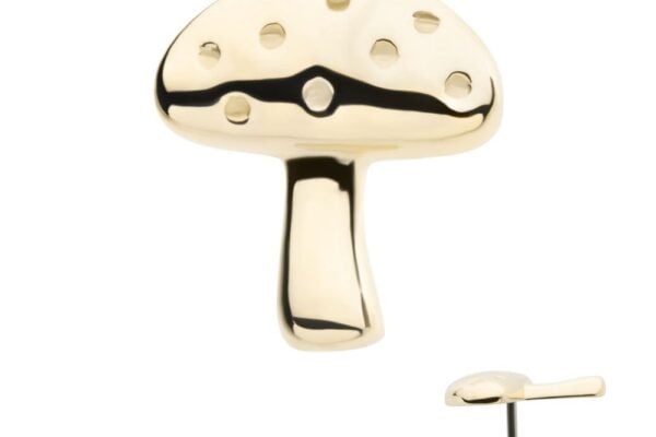 The 14K Spotted Mushroom pin is a shiny gold accessory shaped like a stylized mushroom with small dots and a short stem, shown from the front and side on a white background.