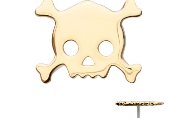 The 14K Skull & Cross Bones earring features a gold skull and crossbones with hollow eyes and nose, seen from front and side views to show its shiny, flat surface and stud post.