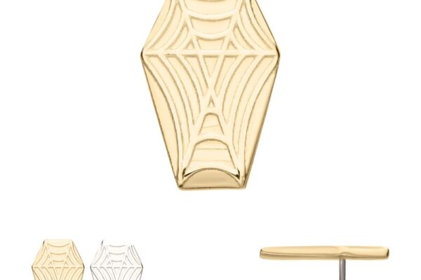 A 14K Spiderweb Coffin stud earring shaped like a coffin with a spiderweb design. Below are smaller images showing the earring in silver and its side profile with post.