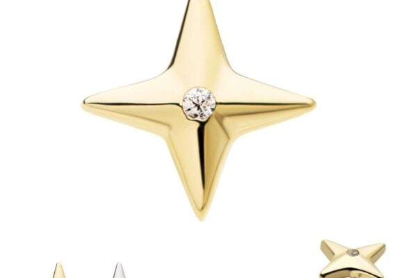 The Celestial Star with Gem earring features a gold star shape with a central gemstone, displayed in front and back views, plus a silver color variant.