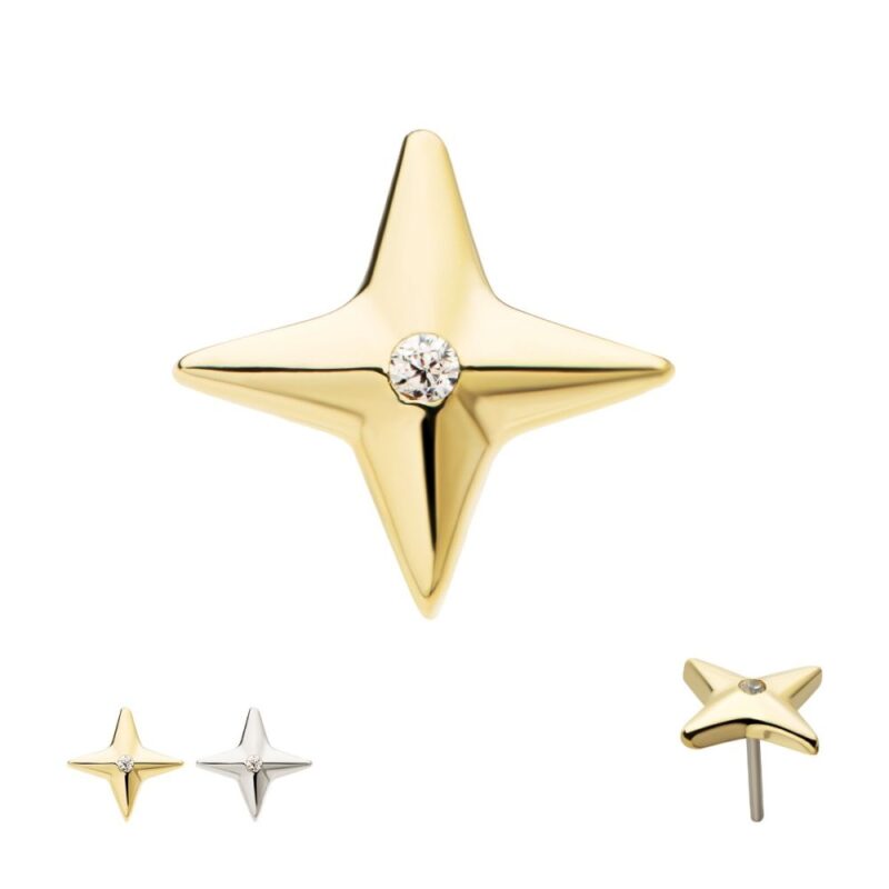 The Celestial Star with Gem earring features a gold star shape with a central gemstone, displayed in front and back views, plus a silver color variant.