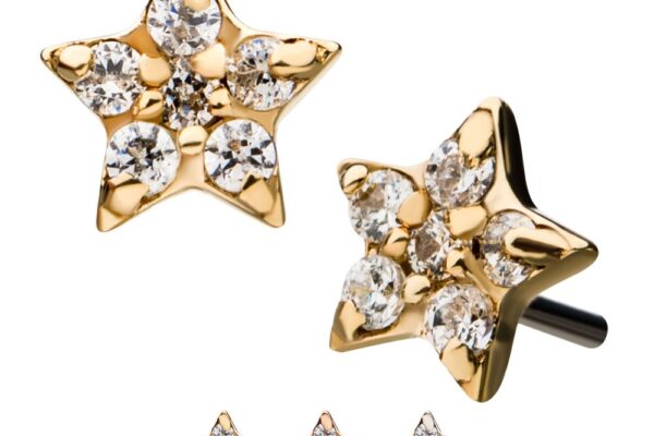 The 14K Shiny Star earrings feature gold star shapes with clear gemstones, displayed from various angles and offered in yellow gold, rose gold, and white gold finishes.