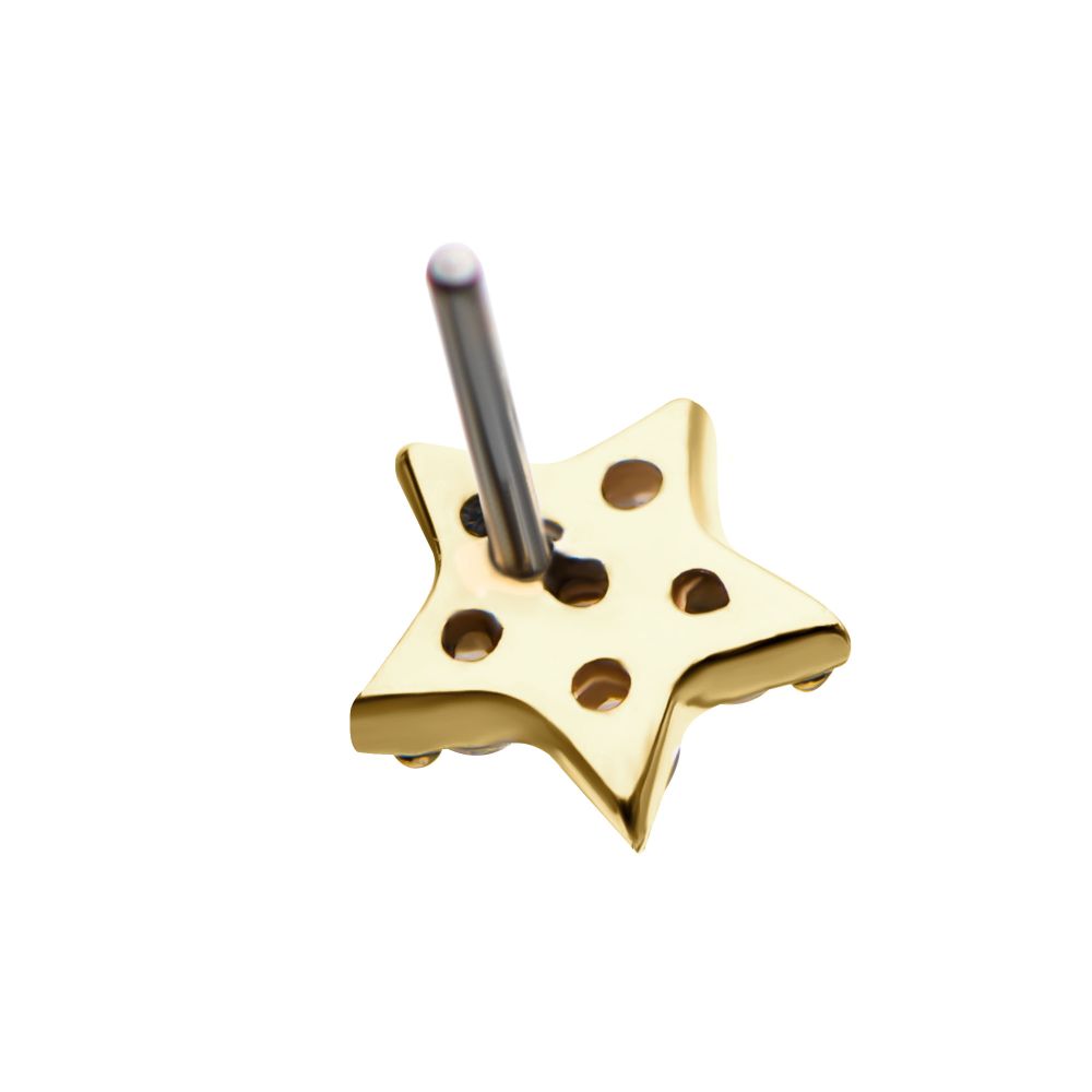 The 14K Shiny Star features a gold star shape with multiple holes and a vertical silver rod through its center, set against a plain white background. The 14K Shiny Star features a gold star shape with multiple holes and a vertical silver rod through its center, set against a plain white background.
