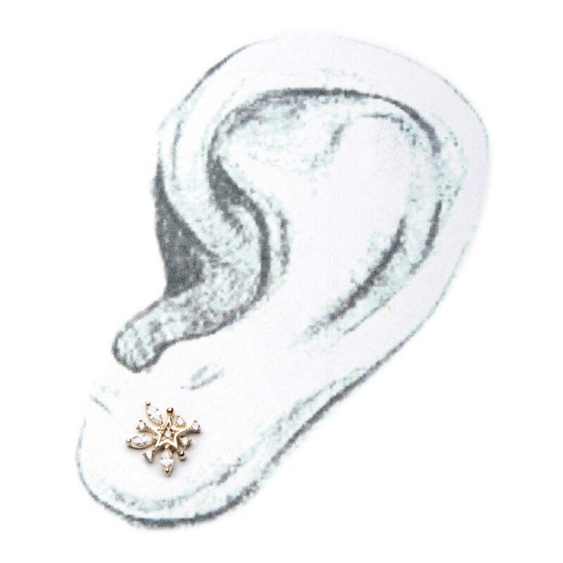 A black and white sketch of a human ear featuring the 14K Marquise Starburst, a small star-shaped earring with pearls and gems, placed near the earlobe.