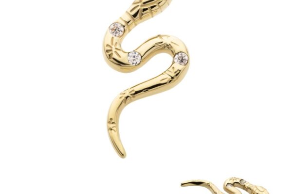 A 14K gold snake-shaped earring, called "14K Snake - Gem," with engraved details and two round gemstones, displayed in close-up and at a distance against a white background.