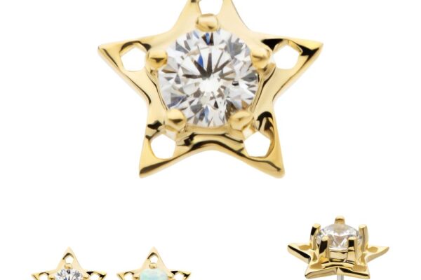 14K Star Shine gold earrings feature five-pointed star outlines with gemstone centers—one clear stone, one opal—displayed from front and side angles.