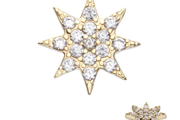 The 14K Octagram Star earring features an eight-pointed gold star with a textured, shiny finish and multiple round clear gemstones. A smaller side view is displayed in the bottom right corner.