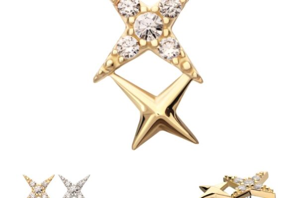 The 14K Double Celestial Star features gold star-shaped stud earrings with clear round crystals, highlighted front and center. Smaller images in the bottom right show the silver version and a side view.