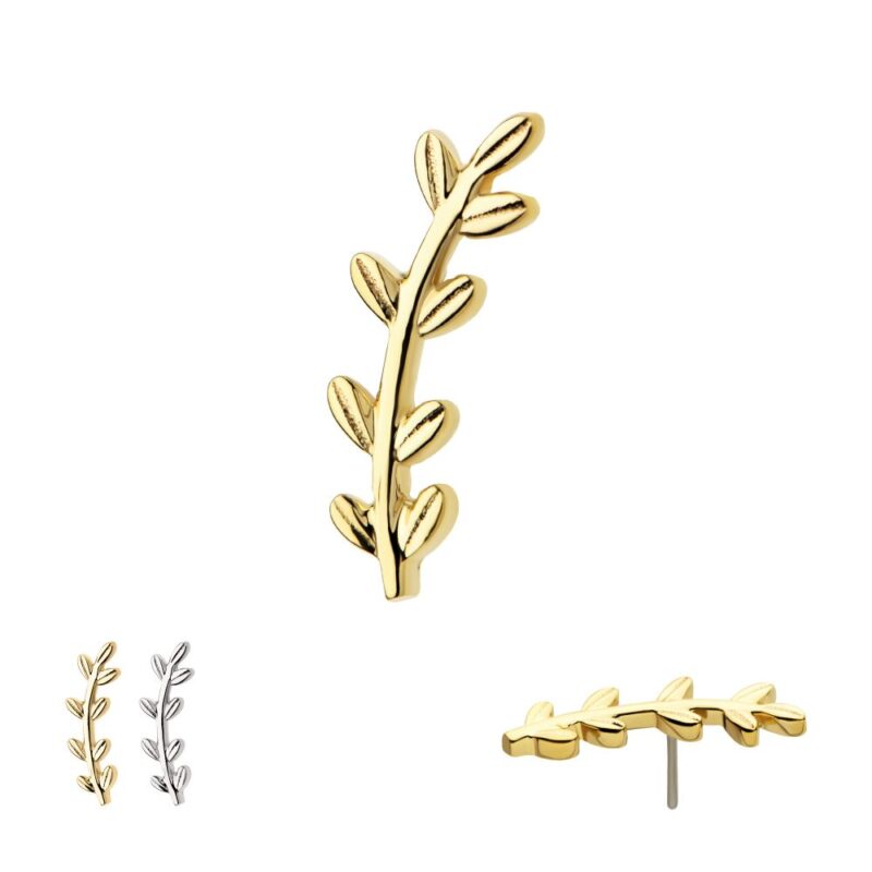 The 14K Olive Branch earrings are displayed: one gold stud upright, another from the side, and both gold and silver pairs shown together.