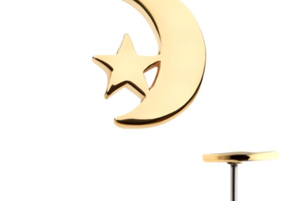 A 14K Star & Crescent Moon gold earring, featuring a crescent moon with a star inside, displayed from the front and side on a white background.