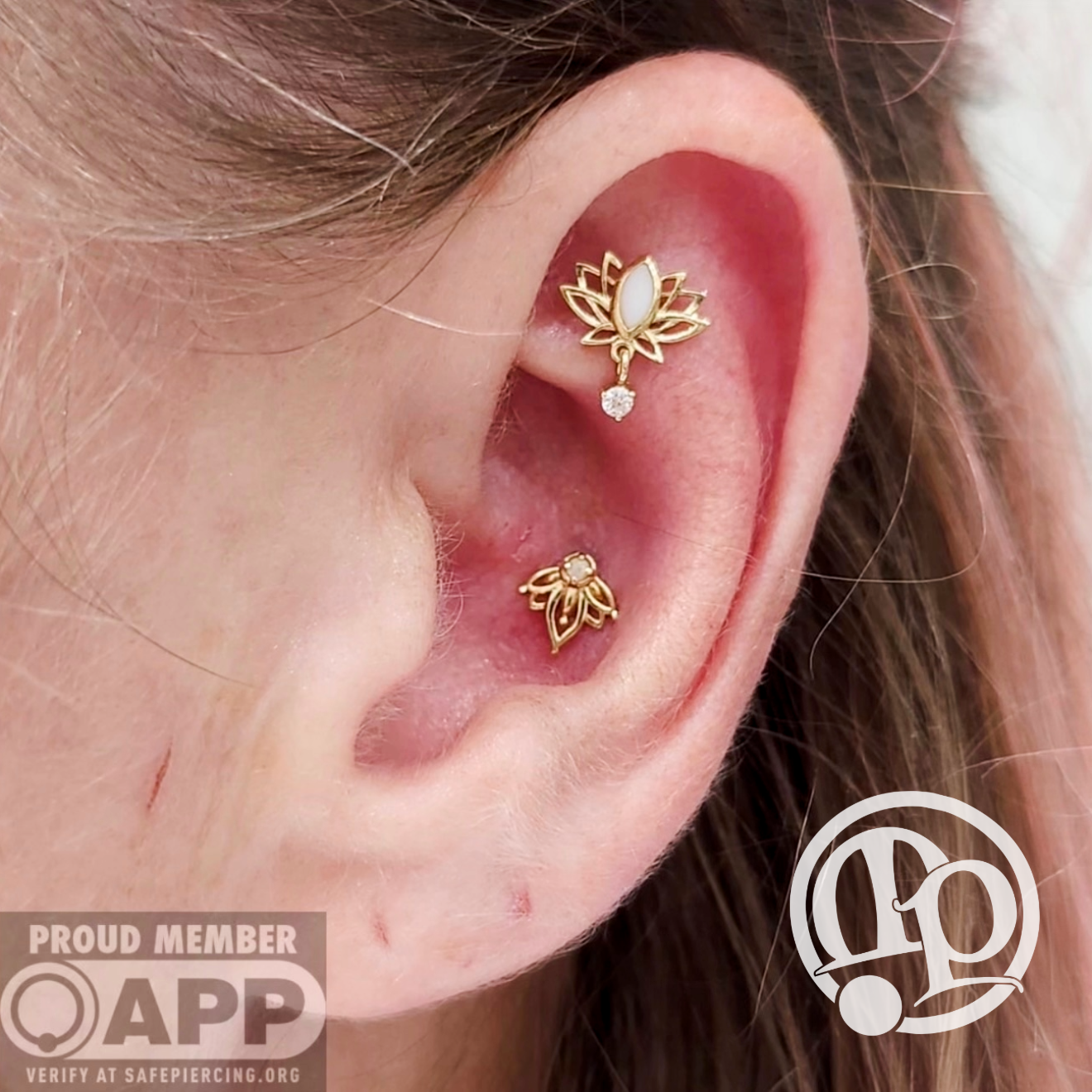 A close-up of an ear with two gold lotus flower-shaped piercings—one at the daith and one at the conch. APP membership and logo marks appear in the corners, ideal for those interested in both tattoos and quality numbing creams.