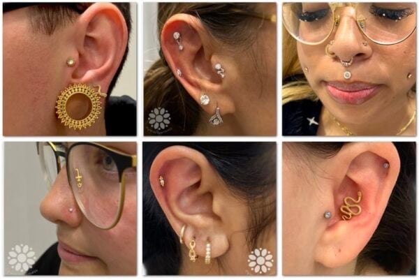 Six close-up shots show different ear and nose piercings with various jewelry, including studs, hoops, and a gold snake earring, plus a septum ring and dermal piercings on a persons face.