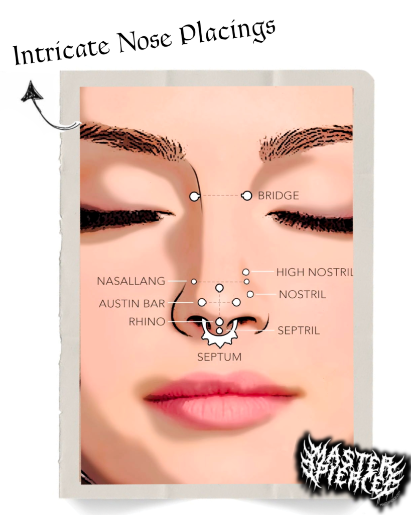 Diagram of a face showing various nose piercing placements labeled bridge, nasallang, austin bar, rhino, septum, high nostril, nostril, and septril. Text reads Intricate Nose Placings..