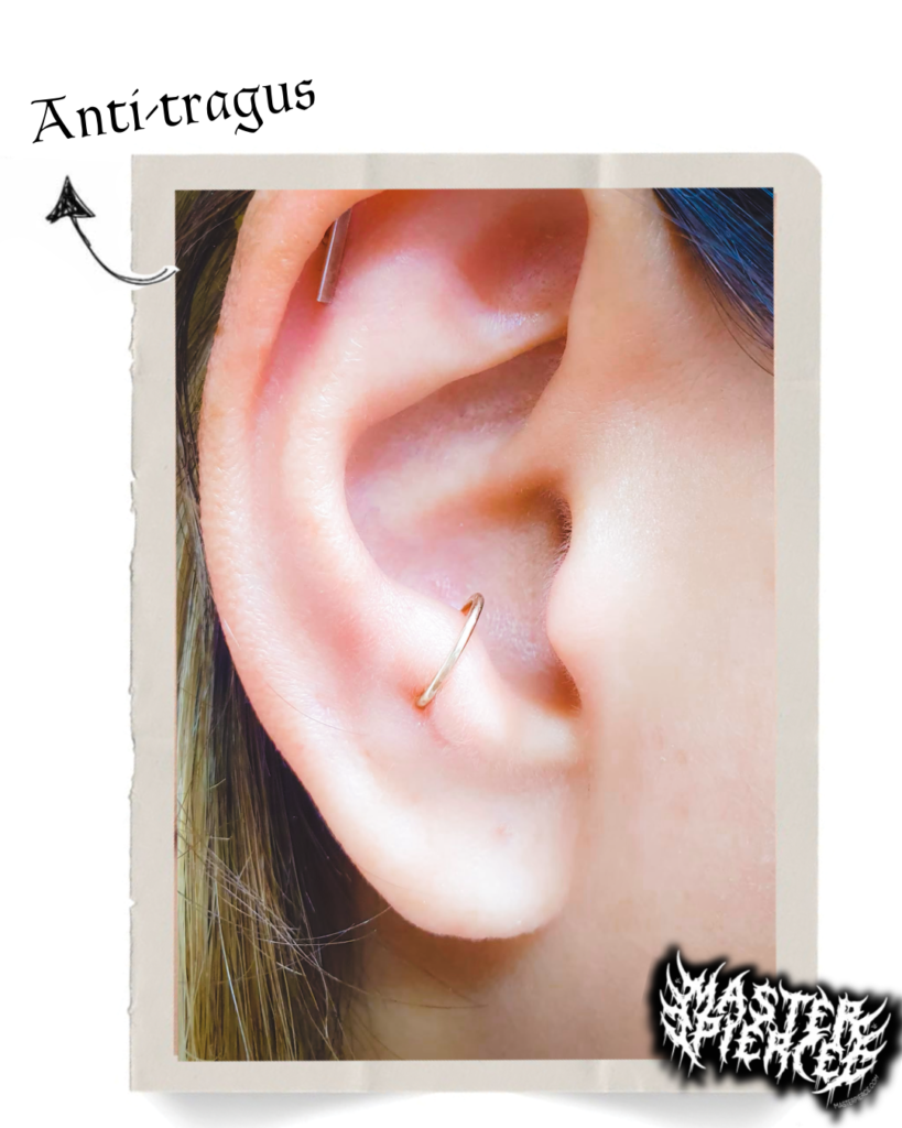 A close-up of a persons ear with a piercing in the anti-tragus area, marked by an arrow and labeled Anti-tragus. The image has a white frame and a logo in the bottom right corner.