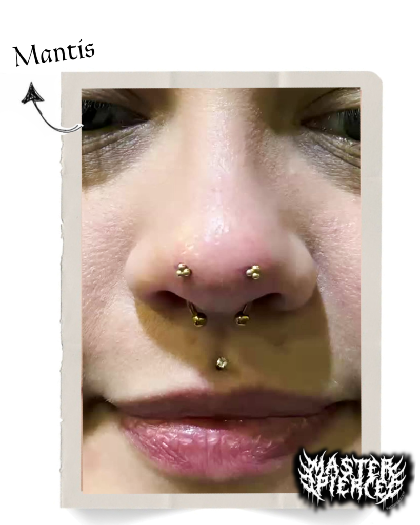 Close-up of a persons nose with three gold piercings; two on the bridge and one on the septum. Mantis is handwritten with an arrow pointing to the piercings. A logo reading MASTERPIERCER is in the bottom right.