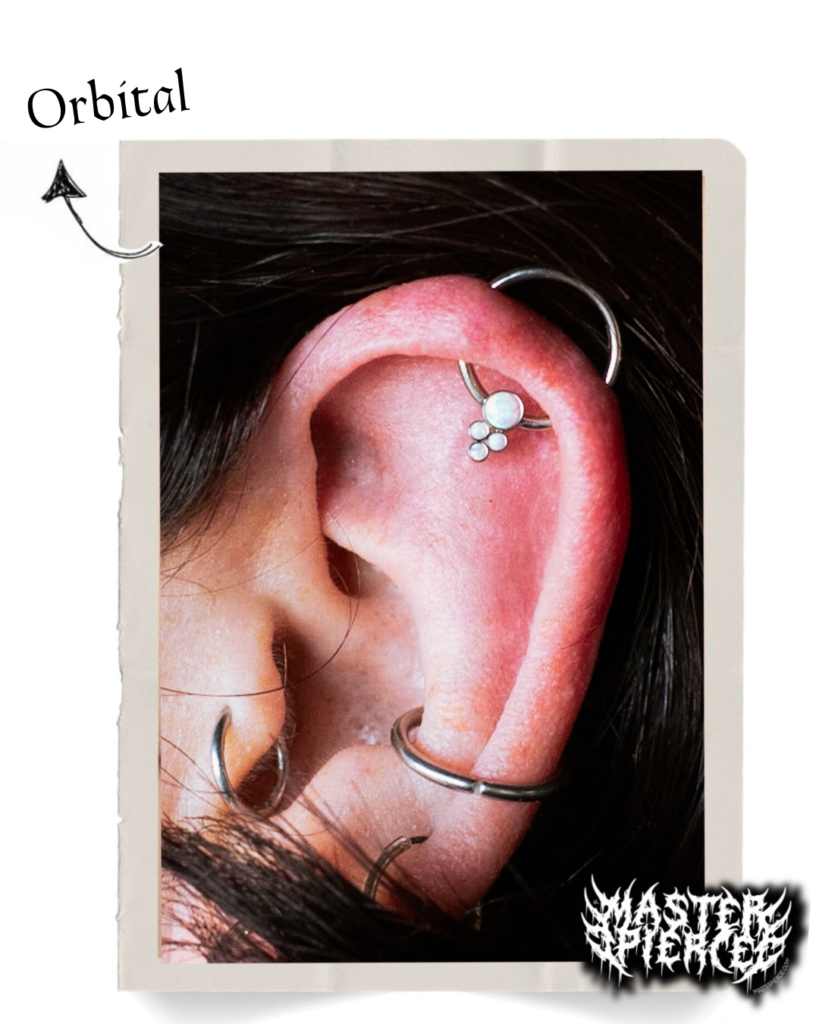Close-up of a persons ear with multiple piercings, including a silver orbital ring labeled with text and an arrow, and two other silver rings. The ear is framed by dark hair and has a white border.