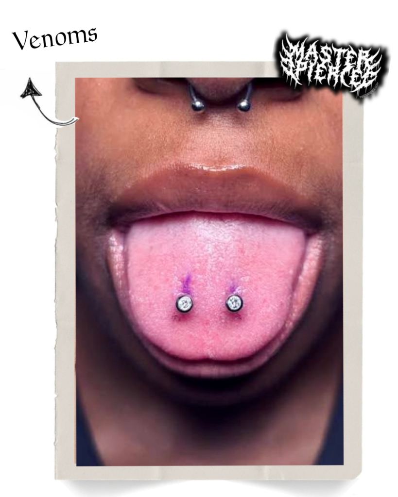 A close-up of a person sticking out their tongue, showing two tongue piercings with jewels and a septum piercing. The word Venoms and an arrow label the tongue piercings.