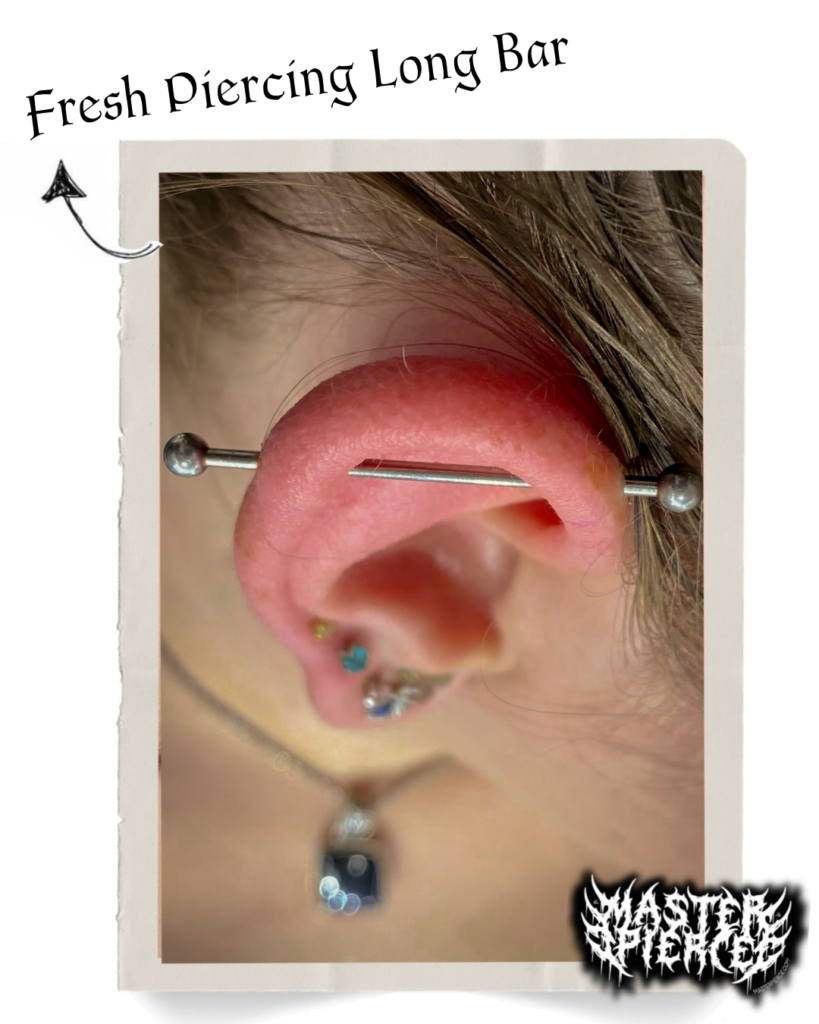 A close-up of an ear with a fresh industrial bar piercing. The ear also has three lower lobe piercings with colorful studs. Text reads Fresh Piercing Long Bar with an arrow pointing to the bar.