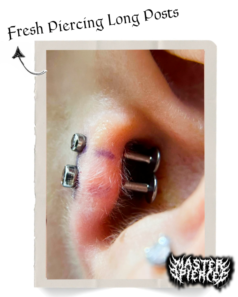 Close-up of a fresh nose piercing with two long posts and visible markings on the skin. Text reads Fresh Piercing Long Posts with an arrow pointing to the jewelry. Logo in the bottom right corner.
